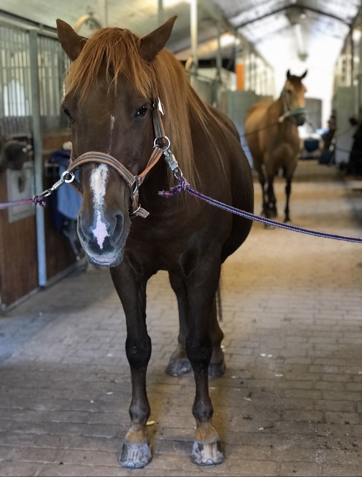 Denna bild har ett alt-attribut som är tomt. Dess filnamn är img_3265.jpg